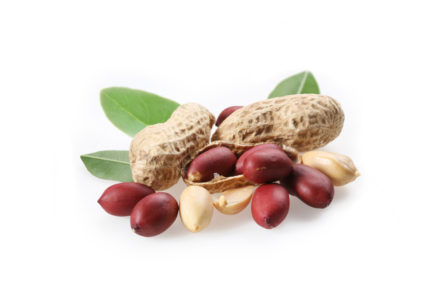 Erdnüsse (40-50 mm)